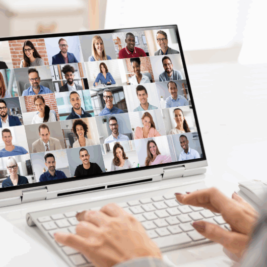 Job Seekers Virtual Lunch & Learn